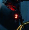 mgs-seemee508_f.jpg