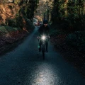 ALLTY2500Sfloodlightandspotlight.webp
