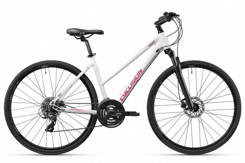 ZA4 - 41 Snowberry.jpg